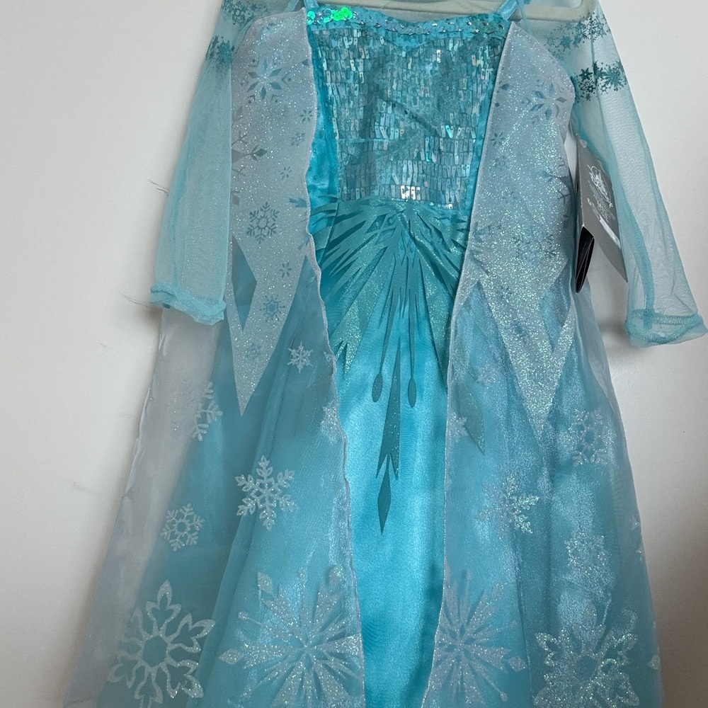 Blue Snow Queen Kids Costume